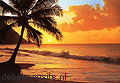 fototapeten zand zee zon strand palmen zonsondergang foto tapete